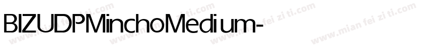 BIZ UDPMincho Medium字体转换